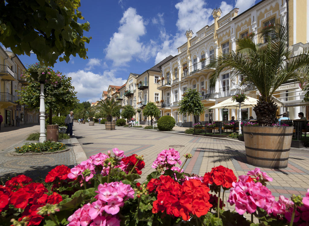 Dr. Adler Spa & Kurhotel Františkovy Lázně エクステリア 写真