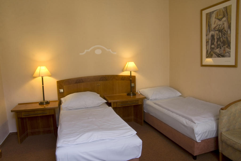 Dr. Adler Spa & Kurhotel Františkovy Lázně 部屋 写真
